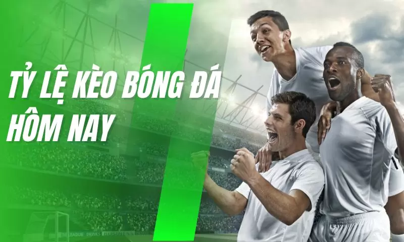 Chia sẻ cách đọc tỷ lệ kèo nhà cái 8xbet đơn giản, dễ hiểu